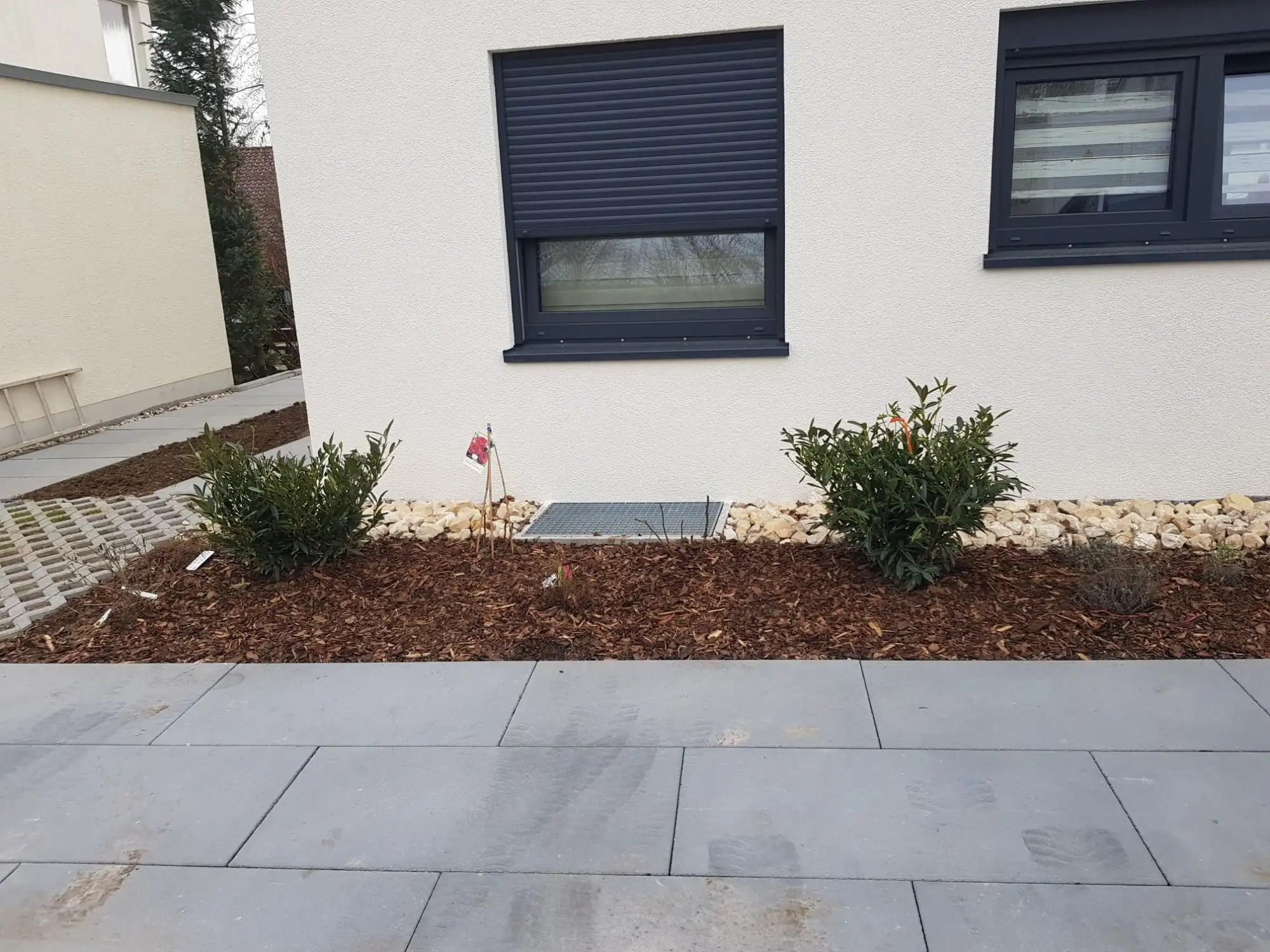 Plattenbelag vor einer Hausfront, Beet mit Rindenmulch und Sträuchern